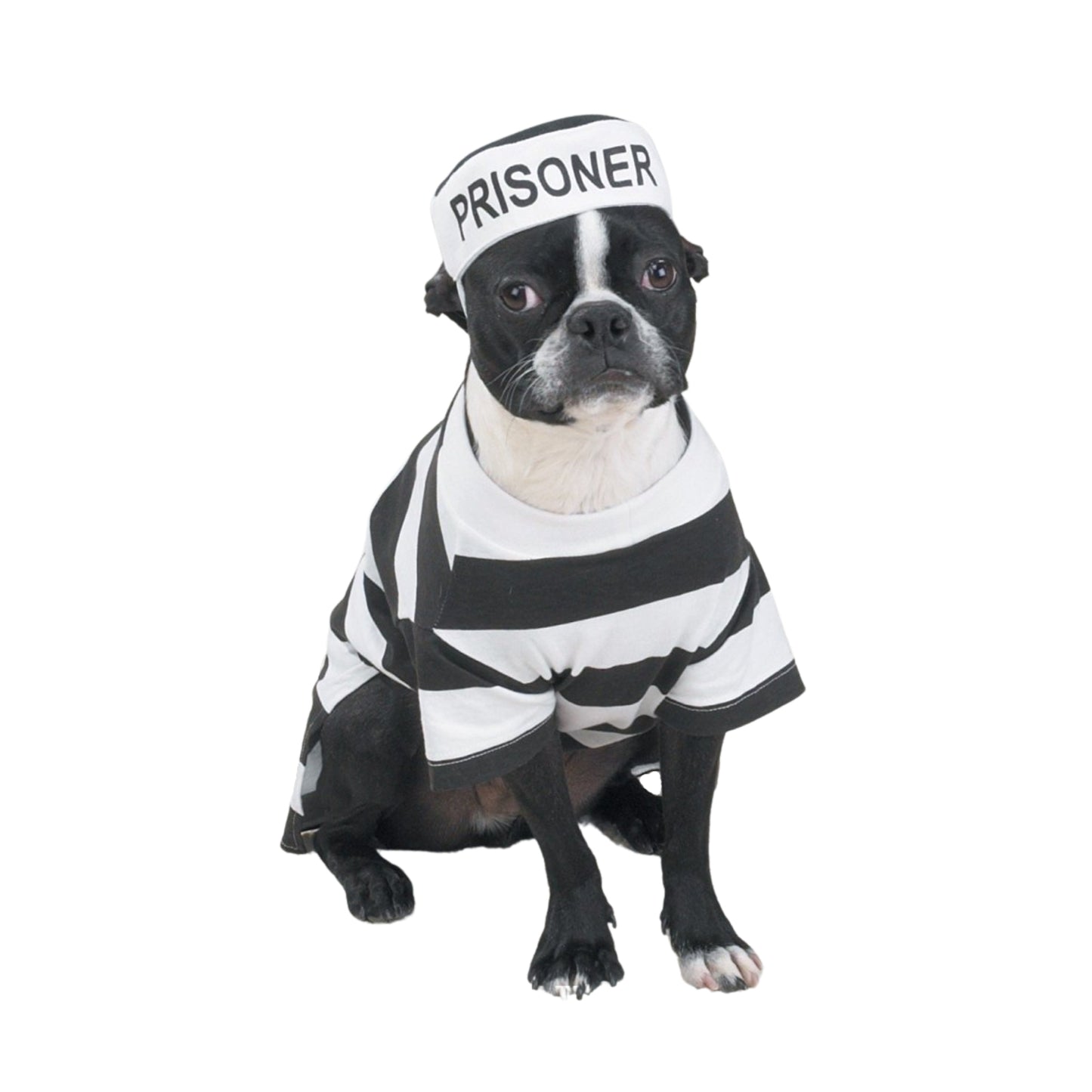 Casual Canine Prison Pooch Costume, X-Small