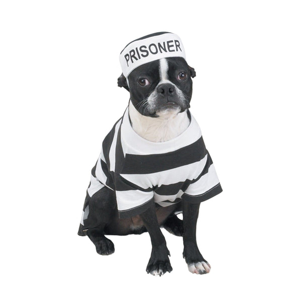 Casual Canine Prison Pooch Costume, Large