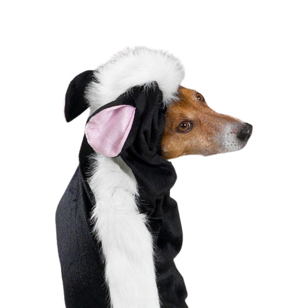 Casual Canine Lil’ Stinker Dog Costume, X Small Black & White Skunk Costume for Your Dog 8”