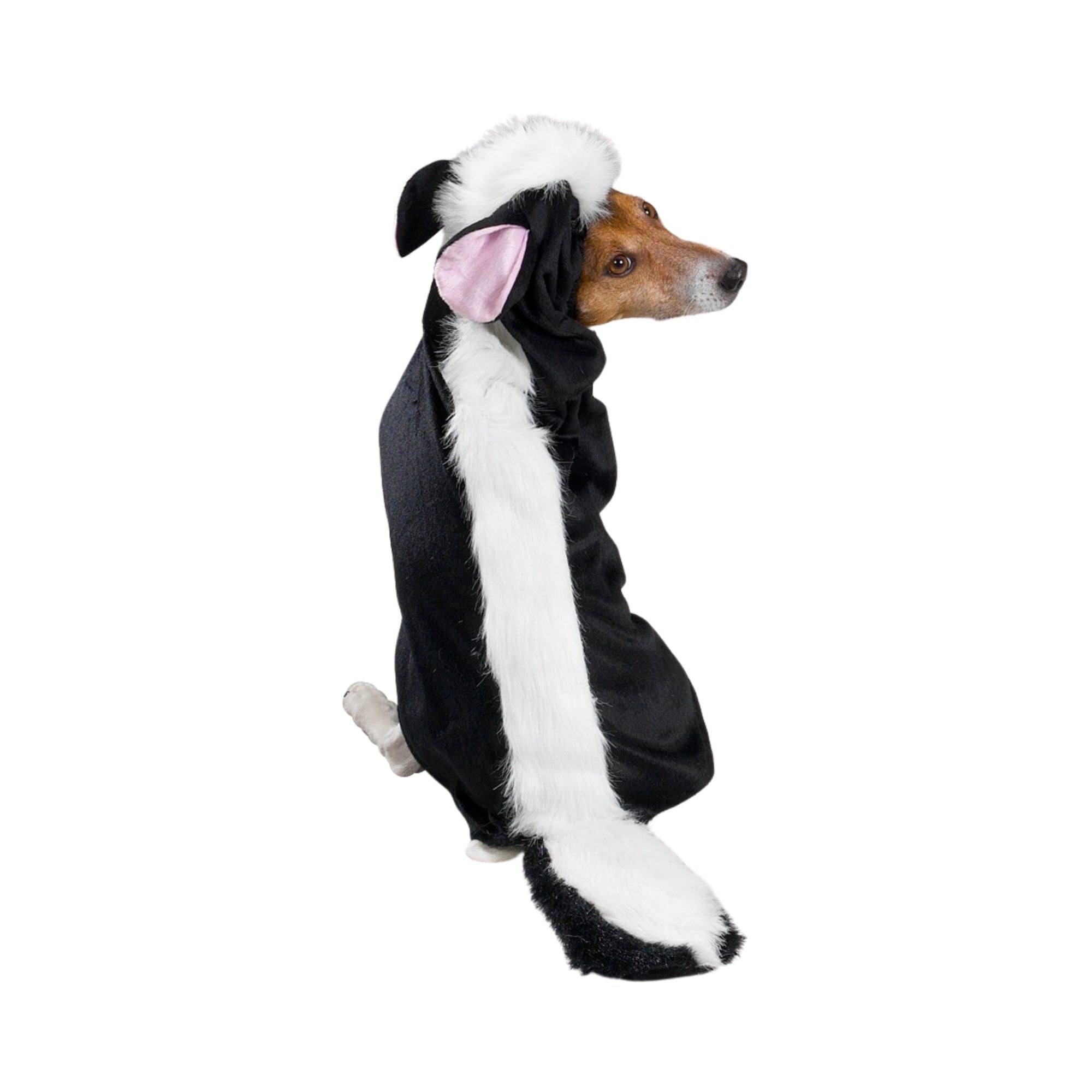 Casual Canine Lil’ Stinker Dog Costume, X Small Black & White Skunk Costume for Your Dog 8”