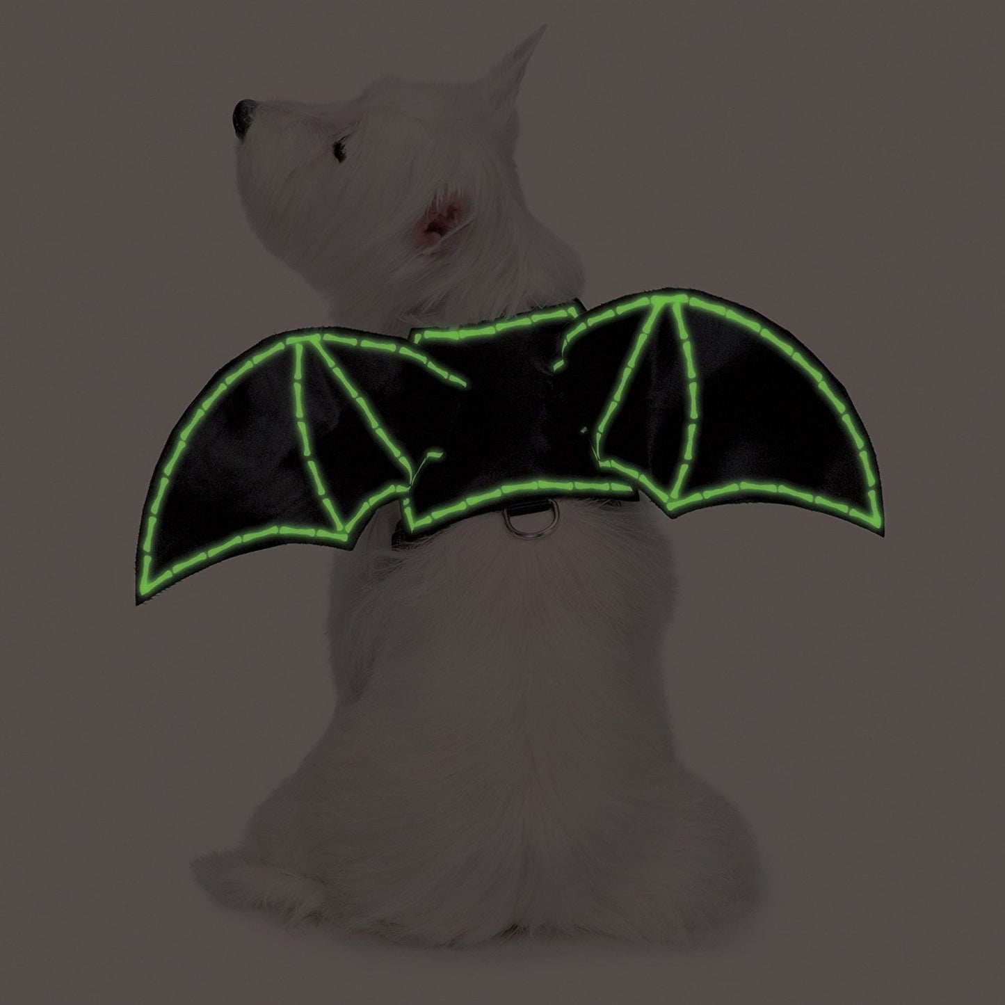 Zack & Zoey Glow-in-the-Dark Bat Wings Harness for Dogs, Small