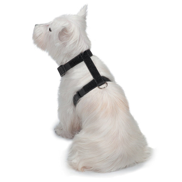 Zack & Zoey Glow-in-the-Dark Bat Wings Harness for Dogs, Small