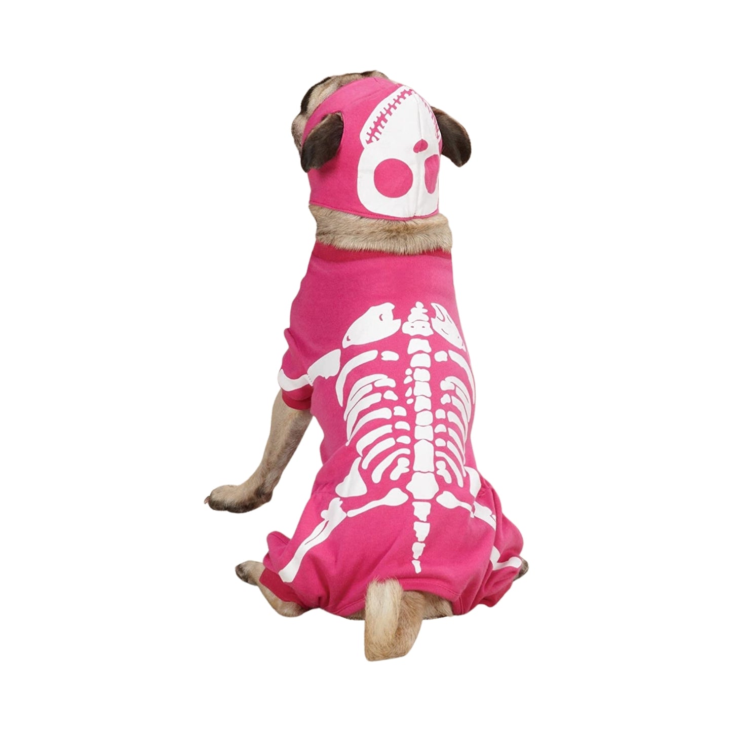 Casual Canine Glow Bones Costume for Dogs, 20" Large
