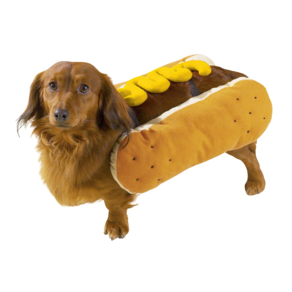 Casual Canine Hot Diggity Dog with Mustard Costume for Dogs, 12" Small