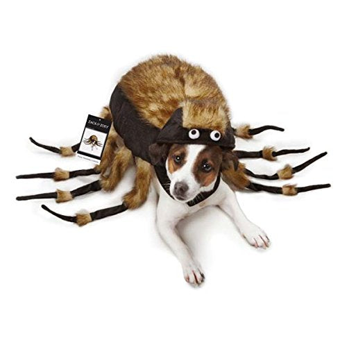 Zack & Zoey Fuzzy Tarantula Costume for Dogs, 12" Small