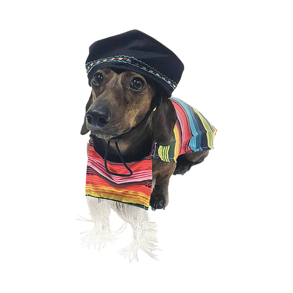 Midlee Mexican Serape Dog Costume