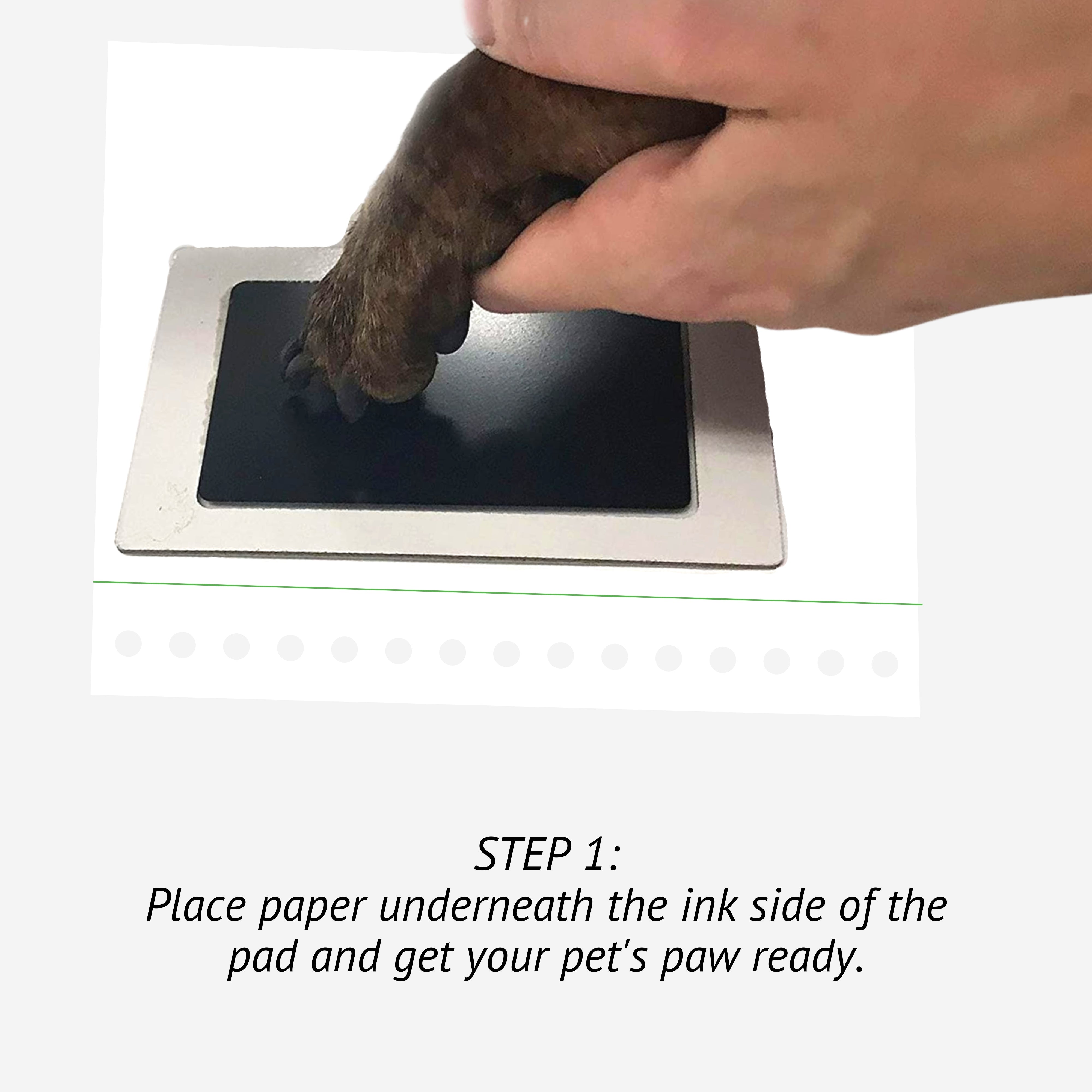 Inkless paw print on sale pad