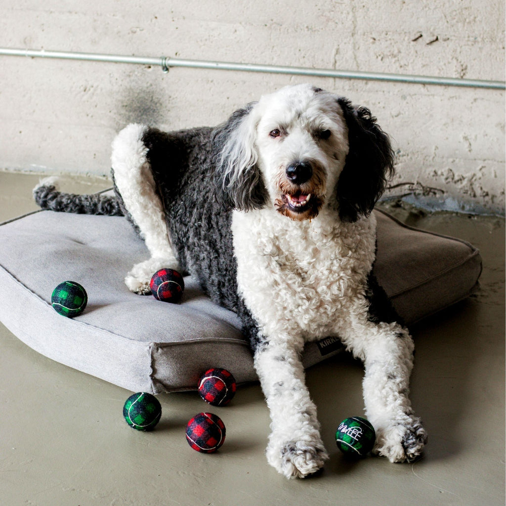 Midlee Dog Christmas Plaid Tennis Balls Midlee Designs