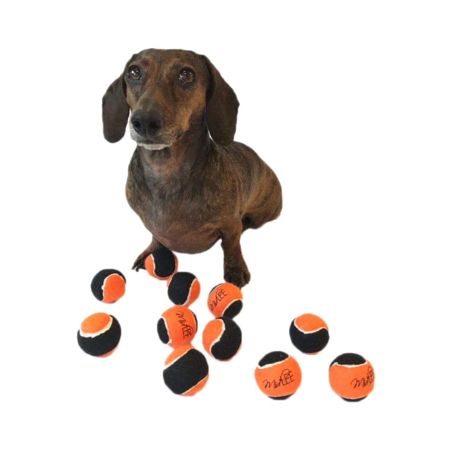 Midlee Orange/Black Mini Dog Halloween Tennis Balls- Set of 12