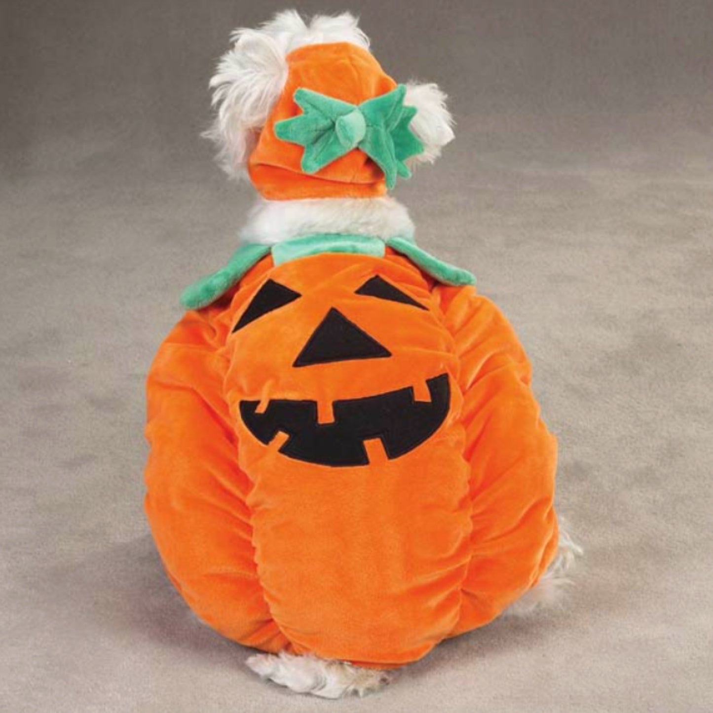 Zack & Zoey Pumpkin Pooch Dog Costume, Small, Orange