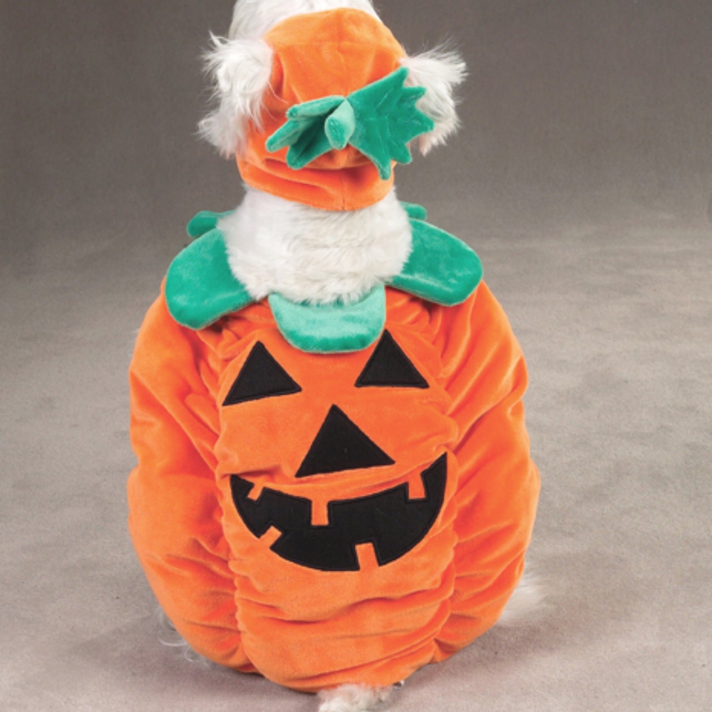 Zack & Zoey Pumpkin Pooch Dog Costume, X-Large, Orange