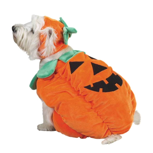 Zack & Zoey Pumpkin Pooch Dog Costume, X-Large, Orange
