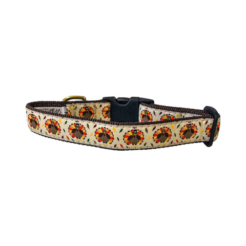 Midlee Thanksgiving Turkey Buckle Dog Collar- Made in The USA