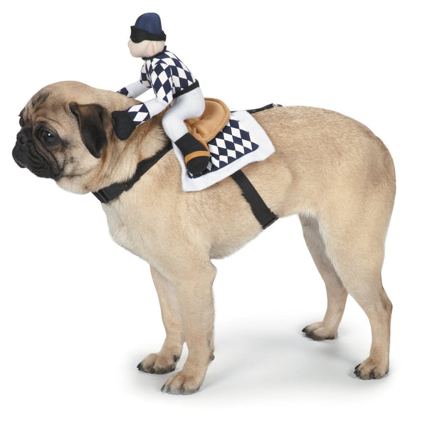 Zack & Zoey Show Jockey Saddle Dog Costume