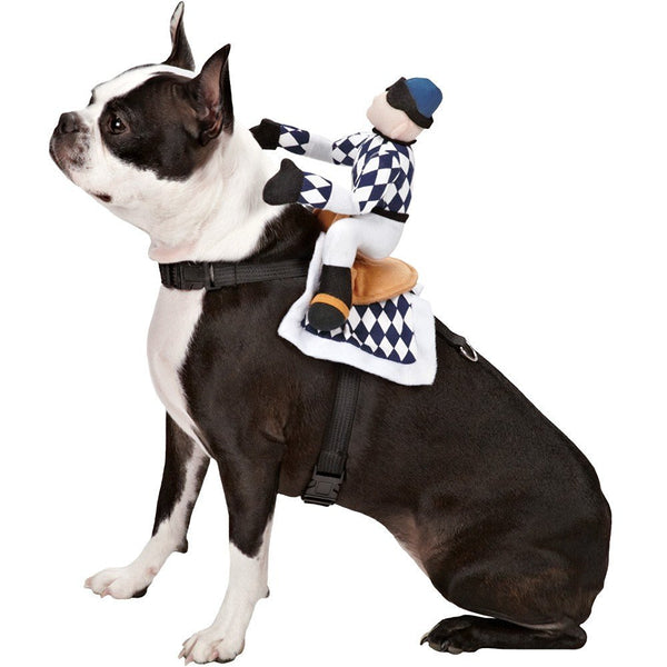 Zack & Zoey Show Jockey Saddle Dog Costume