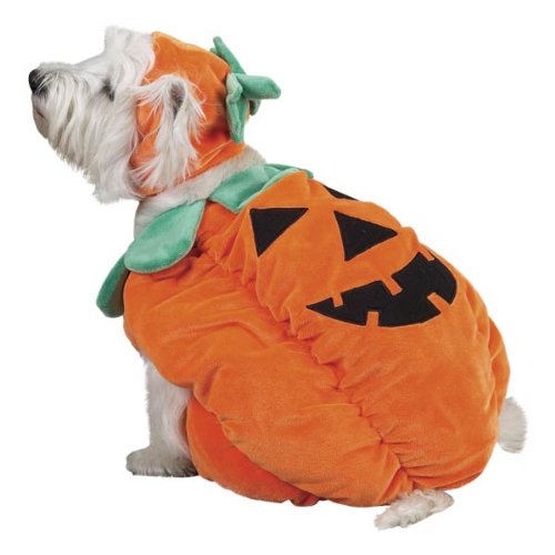 Zack & Zoey Pumpkin Pooch Costume, Medium
