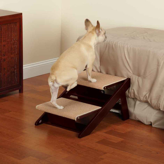 Pet Studio RampStep 2 Steps