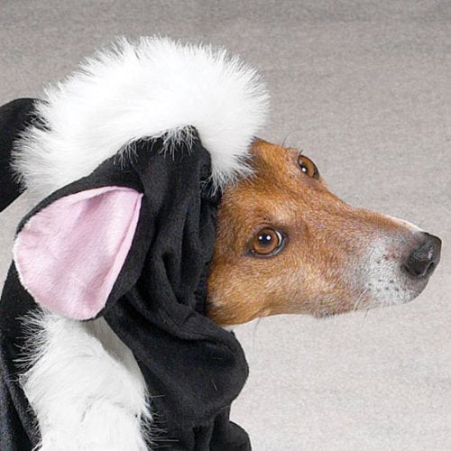 Casual Canine Li'l Stinker Dog Costume, XX-Large, Black/White, 30"